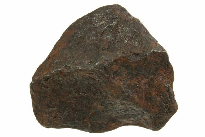 Canyon Diablo Iron Meteorite ( g) - Arizona #335947
